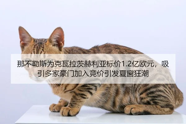 那不勒斯为克瓦拉茨赫利亚标价1.2亿欧元，吸引多家豪门加入竞价引发夏窗狂潮